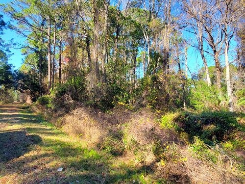 Build Near Lake George $133/Mo : Georgetown : Putnam County : Florida