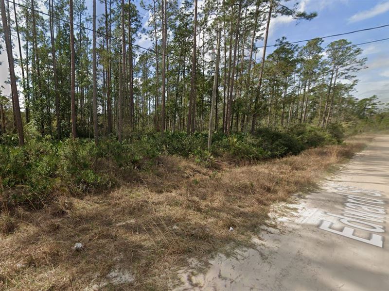 Mobile Home Friendly Lot : Interlachen : Putnam County : Florida