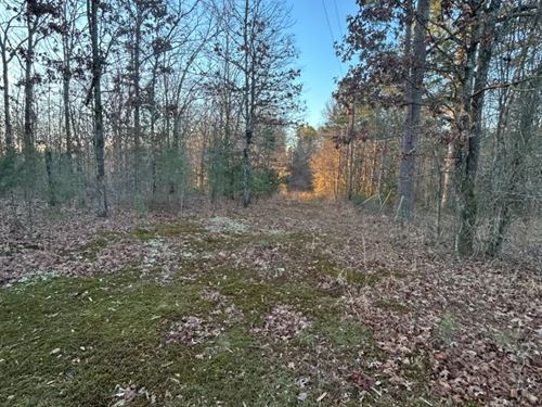 3 Acres Tract 1 in Polk County : Mena : Polk County : Arkansas