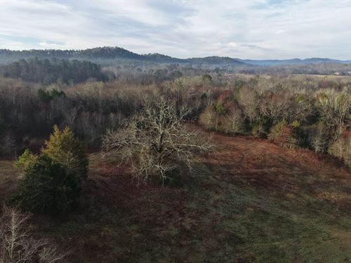 9.57 Acres Tract 9 in Montgomery : Oden : Montgomery County : Arkansas