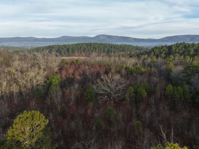 16.06 Acres Tract 3 in Montgomery : Oden : Montgomery County : Arkansas