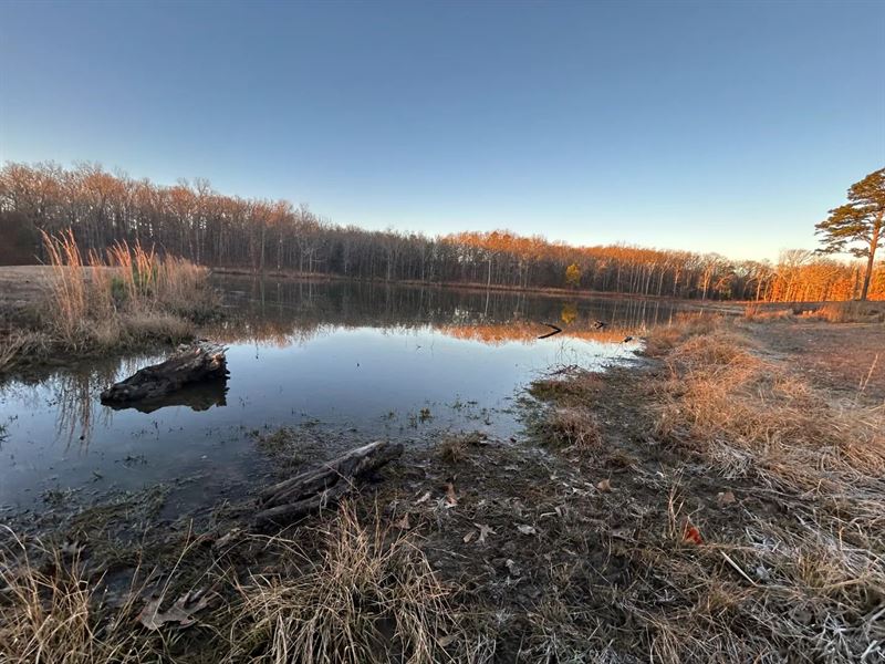 4.65 Acres Tract 3 in Polk County : Mena : Polk County : Arkansas