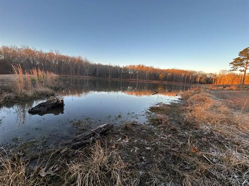 4.65 Acres Tract 3 in Polk County : Mena : Polk County : Arkansas