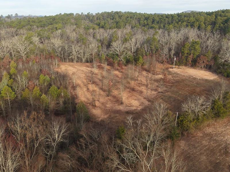 8.22 Acres Tract 11 in Montgomery : Oden : Montgomery County : Arkansas