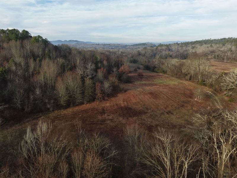 15.84 Acres Tract 7 in Montgomery : Oden : Montgomery County : Arkansas