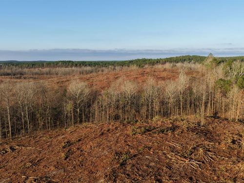 120.15 Acres in Pike County, AR : Newhope : Pike County : Arkansas