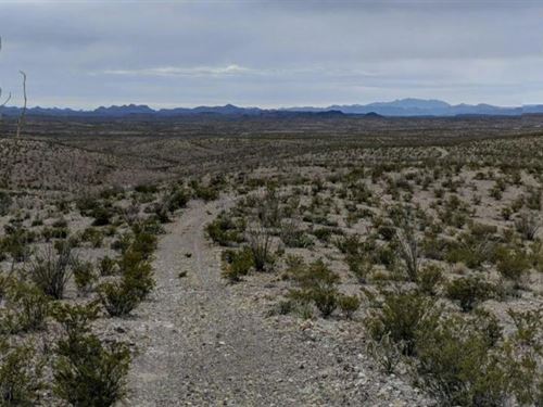 Majestic 10-Acre Mountain View : Presidio City : Presidio County : Texas