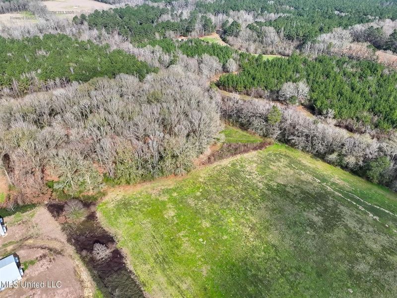 34 Acres in Amite County MS Near Mc : Smithdale : Amite County : Mississippi