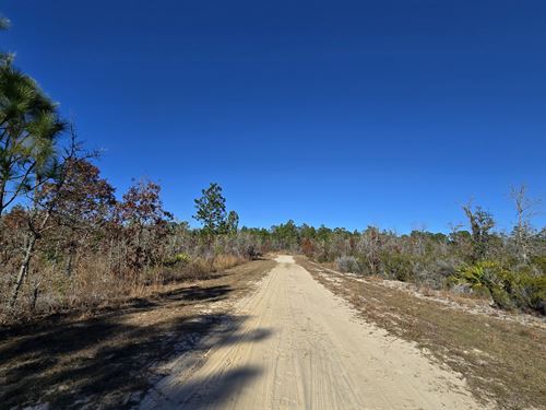 Fantastic Lot with Access to Power : Interlachen : Putnam County : Florida