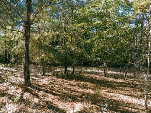 2.95 Acres in Aiken County, SC : Aiken : South Carolina