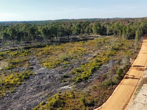 6 Acres Russell County, AL : Pittsview : Russell County : Alabama