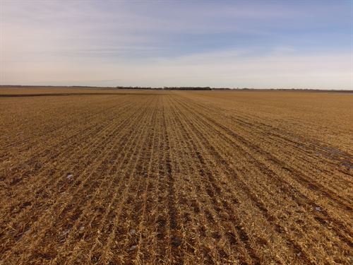 160 Acres, Jefferson Township : Redfield : Spink County : South Dakota