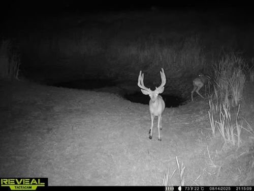 Golden Hills Ranch : Craig : Moffat County : Colorado
