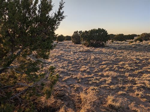 Your Gateway to Arizona High Desert : Concho : Apache County : Arizona