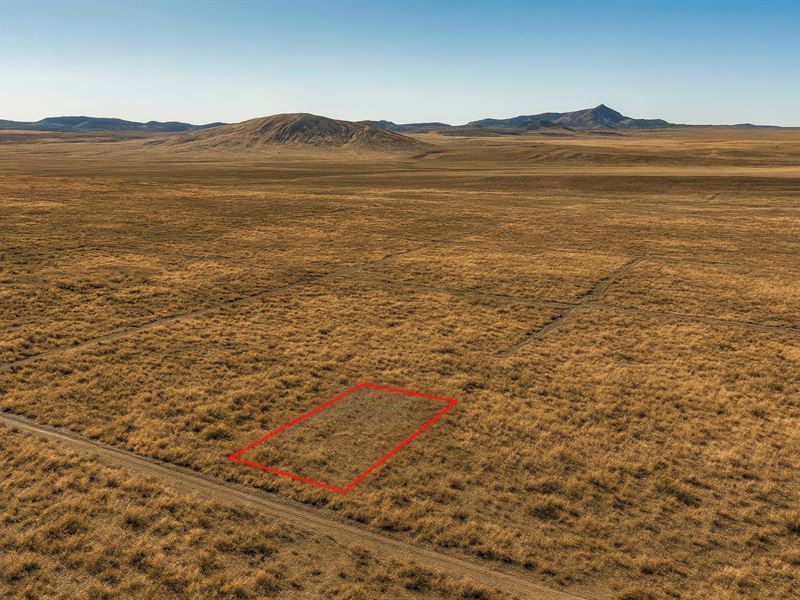 1 Acre Off-Grid Escape : Concho : Apache County : Arizona