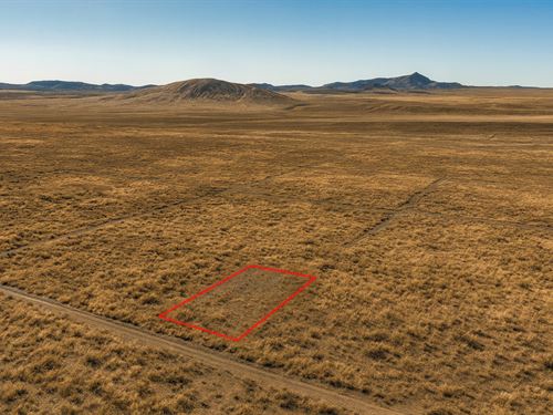 1 Acre Off-Grid Escape : Concho : Apache County : Arizona
