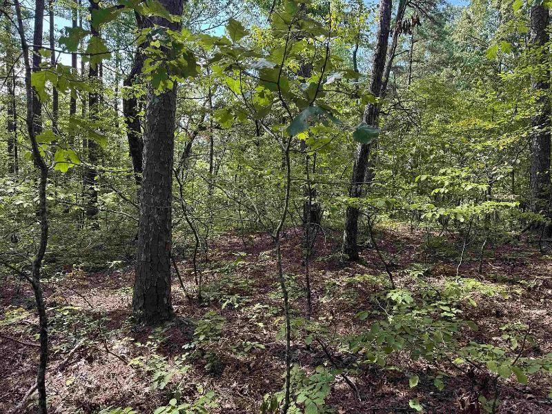 Serene 1.11-Acre Residential Oasis : Hot Springs Village : Garland County : Arkansas