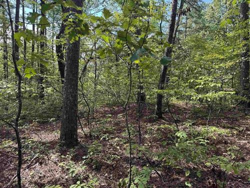 Serene 1.11-Acre Residential Oasis : Hot Springs Village : Garland County : Arkansas