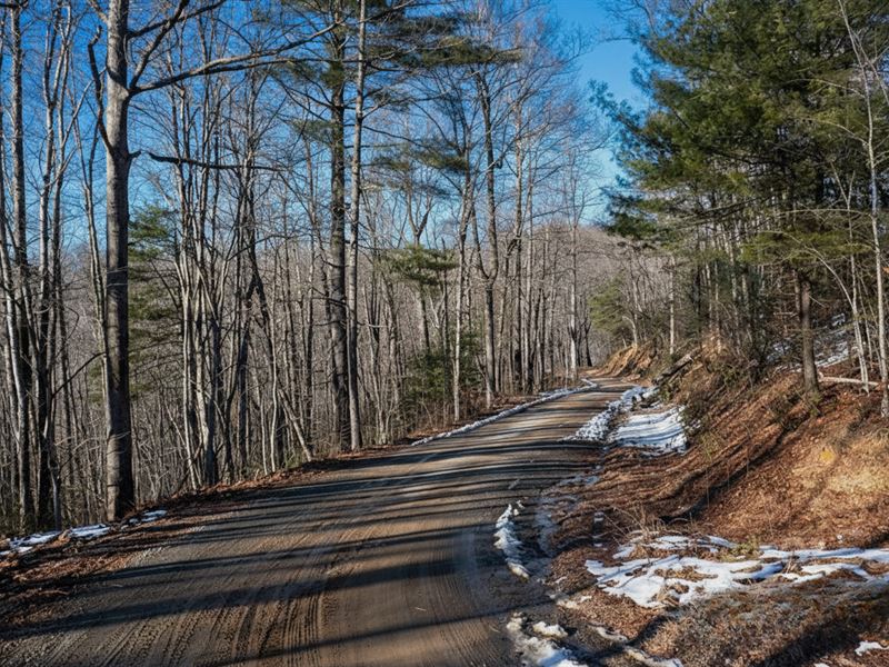 Build in Nature, 1.8 Ac Zirconia NC : Zirconia : Henderson County : North Carolina