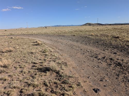 Your Affordable, Pristine, Gateway : Concho : Apache County : Arizona