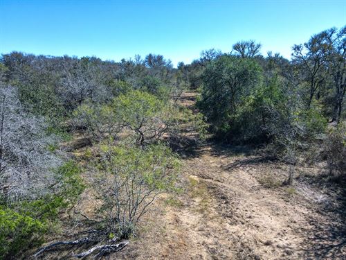 43+ Acres in Bastrop County, TX : Watterson : Bastrop County : Texas