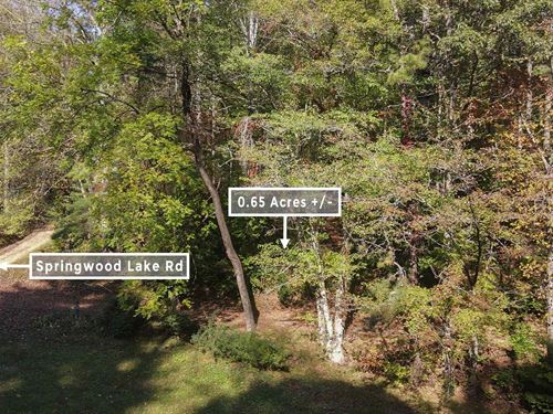 Affordable, Wooded Lot, $1 Down : Robbinsville : Graham County : North Carolina
