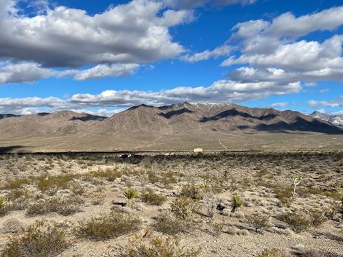 Five 1 Acre Neighboring Properties : Meadview : Mohave County : Arizona