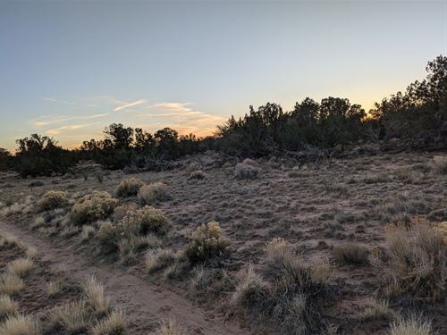 Your Affordable High Desert Escape : Sanders : Apache County : Arizona