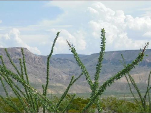 Exquisite 10-Acre Mountain View : Presidio City : Presidio County : Texas