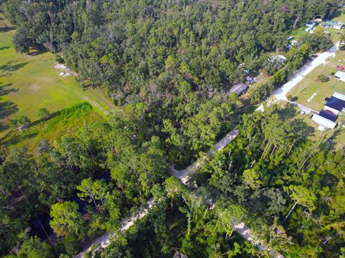 Build or Camp Near Suwannee River : Live Oak : Suwannee County : Florida