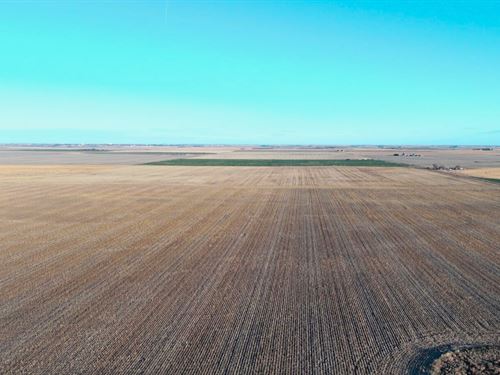 Hyde Dryland Auction : Otis : Washington County : Colorado