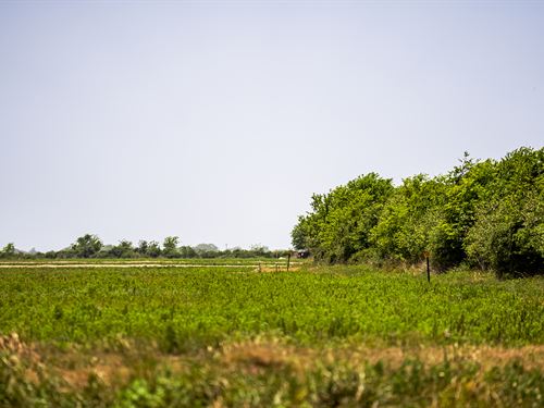 11.08 Acres Near Houston, Texas : Eagle Lake : Colorado County : Texas