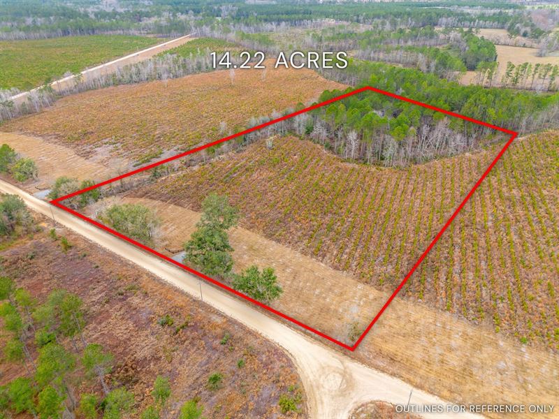 Lot 15, Lanes Creek Farms : Brooklet : Bulloch County : Georgia