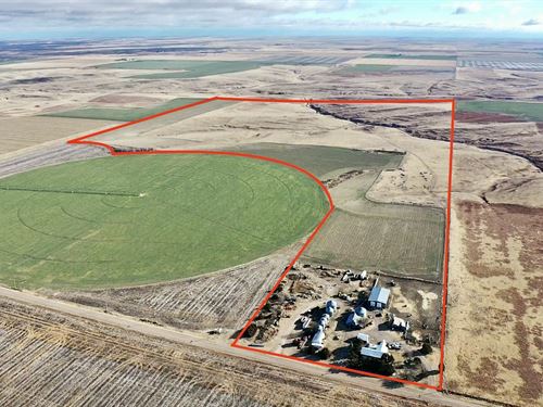 Bird City Homestead : Bird City : Cheyenne County : Kansas