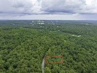 3 Min Drive to Strawberry River : Horseshoe Bend : Izard County : Arkansas