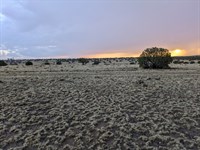 Your Gateway to High Desert Freedom : Concho : Apache County : Arizona