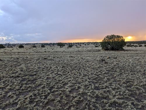Your Gateway to High Desert Freedom : Concho : Apache County : Arizona