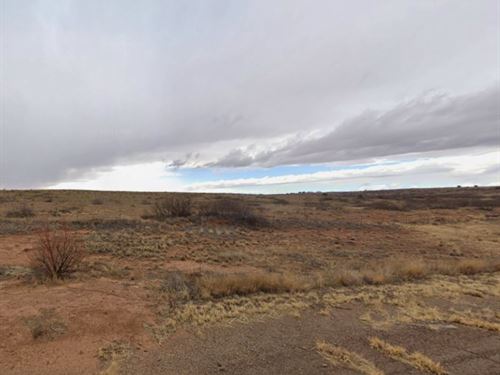 No HOA Acreage, Near Lake, $1 Down : Conchas Dam : San Miguel County : New Mexico