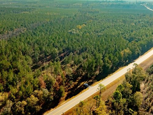 White Spring Timber : Glenwood : Laurens County : Georgia