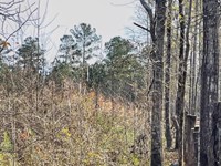 Zebulon Road : Milner : Lamar County : Georgia