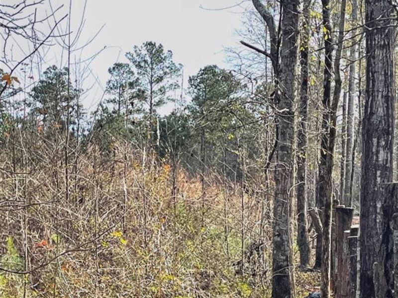 Zebulon Road : Milner : Lamar County : Georgia