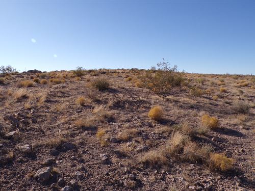 Real AZ Land You Can Call Yours : Kingman : Mohave County : Arizona