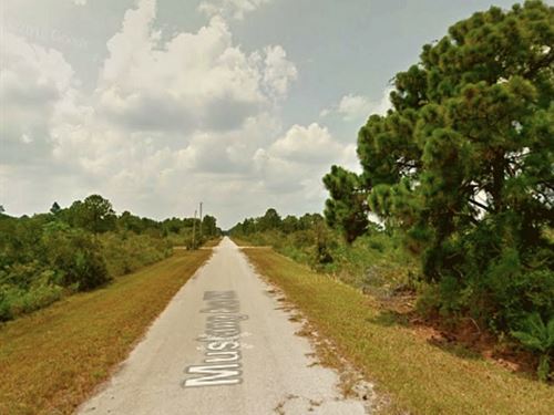Peaceful, No HOA, Owner Financing : Lake Placid : Highlands County : Florida