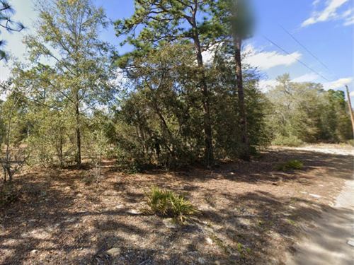 Affordable, Near Park, $1 Down : Hawthorne : Putnam County : Florida