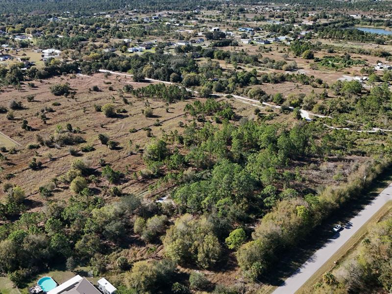 1.14 Acre Lot in Golden Gate Estate : Naples : Collier County : Florida