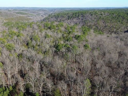 Hunters Paridise : Calico Rock : Baxter County : Arkansas
