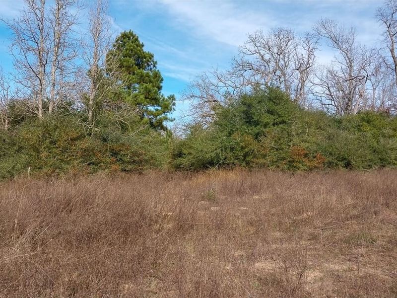 59 Acres, FM 1511 : Buffalo : Leon County : Texas