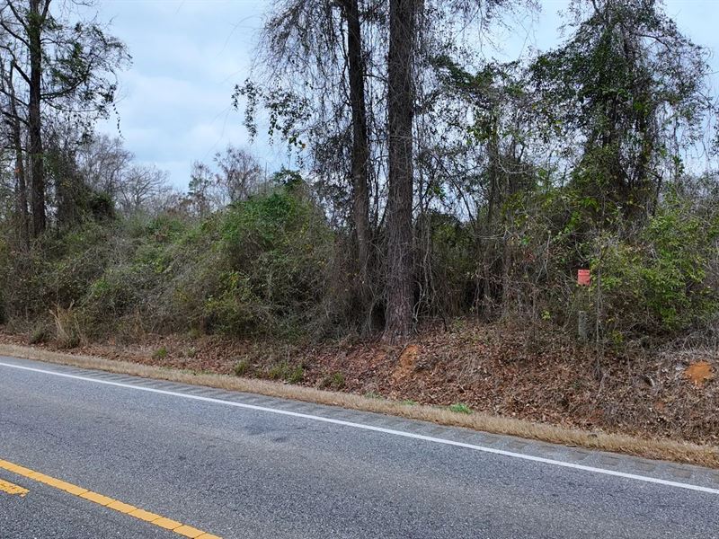 3.19 Acres in Crenshaw County, AL : Luverne : Crenshaw County : Alabama