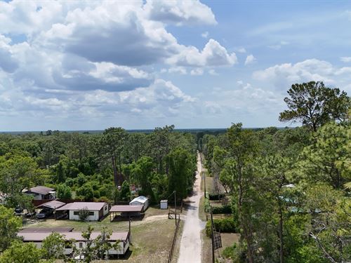 Flexible Lot Perfect Florida Escape : Fort Mc Coy : Marion County : Florida