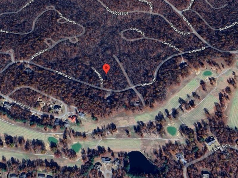 .25 Acres in Fulton County AR : Cherokee Village : Fulton County : Arkansas